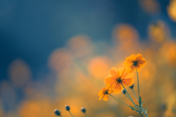 48V轻混对比丰田双擎 哪套系统更好用?